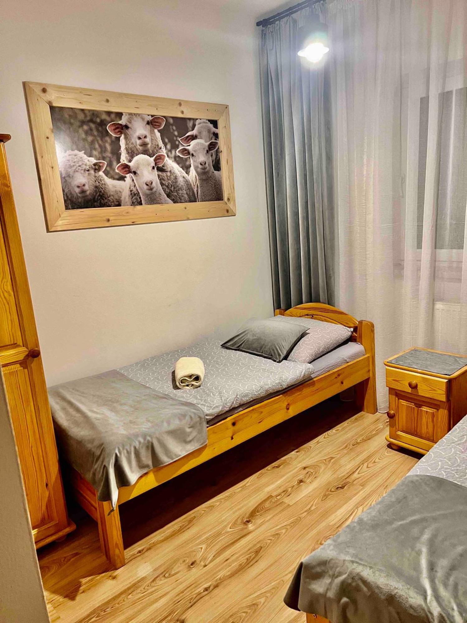 Apartamenty Nad Dunajcem Kolo Zakopanego Biały Dunajec Εξωτερικό φωτογραφία