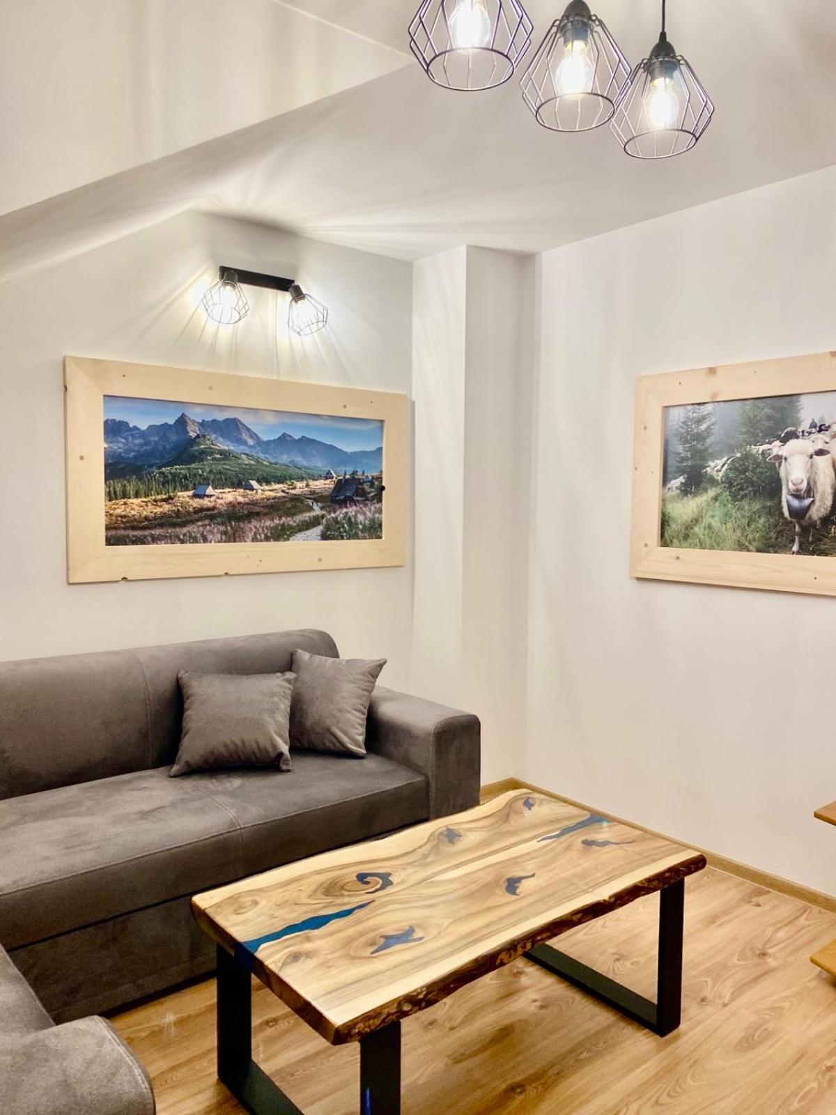 Apartamenty Nad Dunajcem Kolo Zakopanego Biały Dunajec Εξωτερικό φωτογραφία